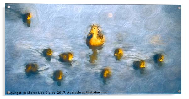 Ten little ducks Acrylic by Sharon Lisa Clarke