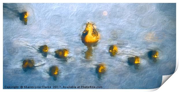 Ten little ducks Print by Sharon Lisa Clarke