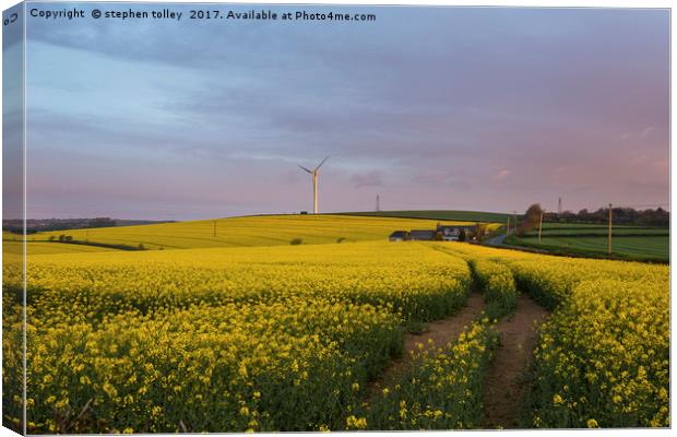 Dawn over rape seed field Canvas Print by stephen tolley