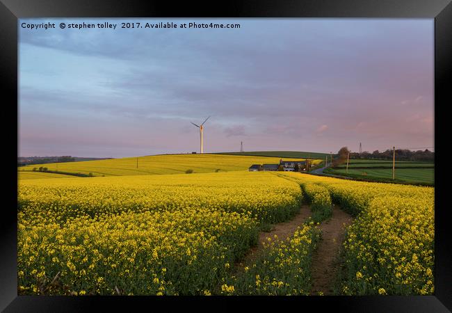 Dawn over rape seed field Framed Print by stephen tolley