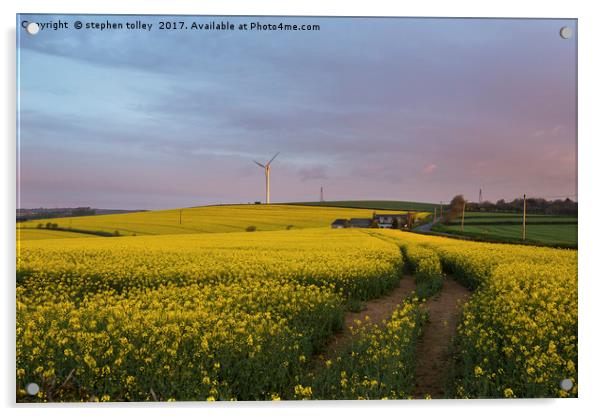 Dawn over rape seed field Acrylic by stephen tolley