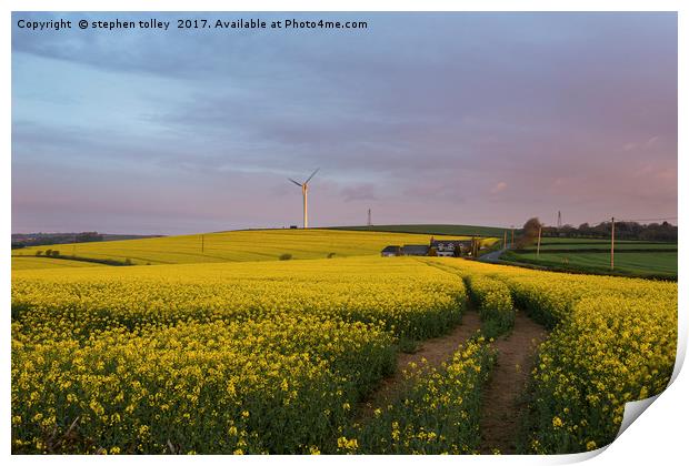 Dawn over rape seed field Print by stephen tolley