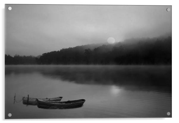 Mist and moonlight Acrylic by Henry Horton