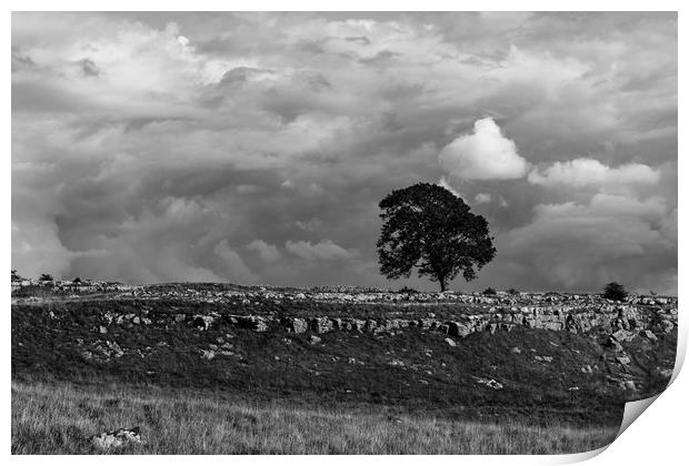 Lonely Tree Print by Simon Wilkinson