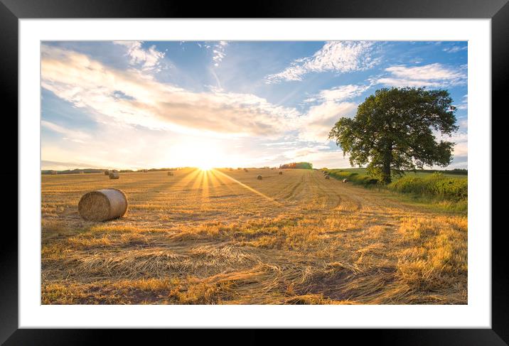 Hay bales and the late day sun rays Framed Mounted Print by Dean Merry