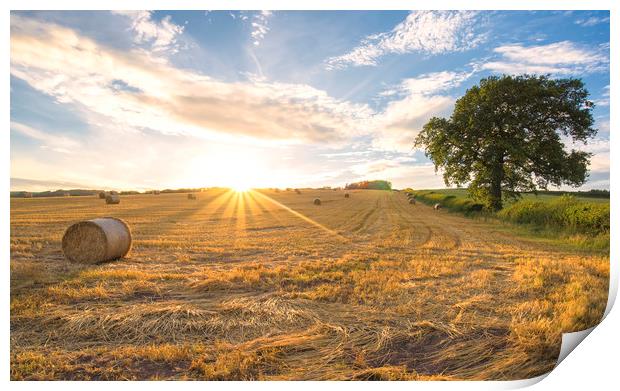 Hay bales and the late day sun rays Print by Dean Merry