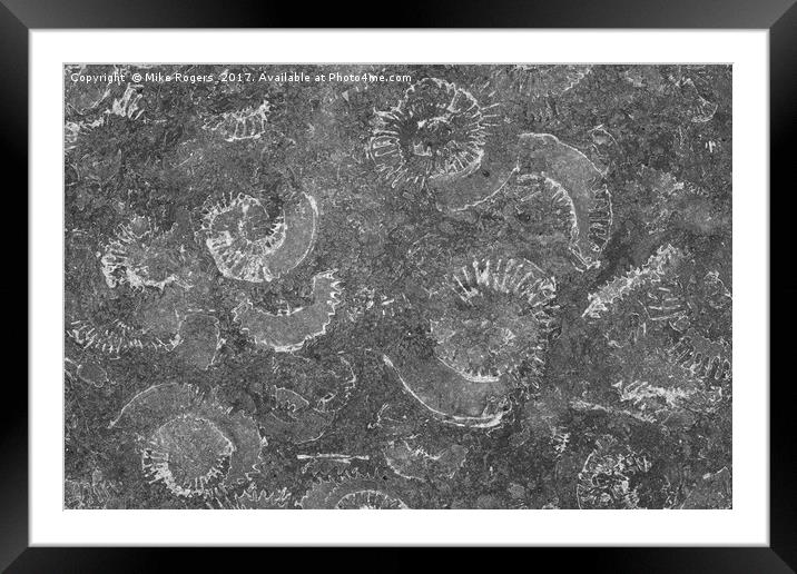 Ammonites in the rocks Framed Mounted Print by Mike Rogers