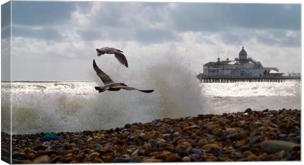 Eastbourne Seafront Canvas Print by Adam Ransom