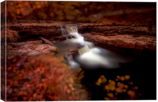 Waterfall on the Mellte river Canvas Print by Leighton Collins