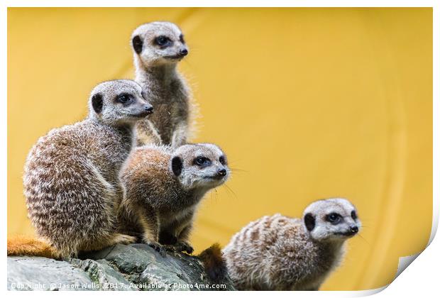 Meerkats on the look out Print by Jason Wells