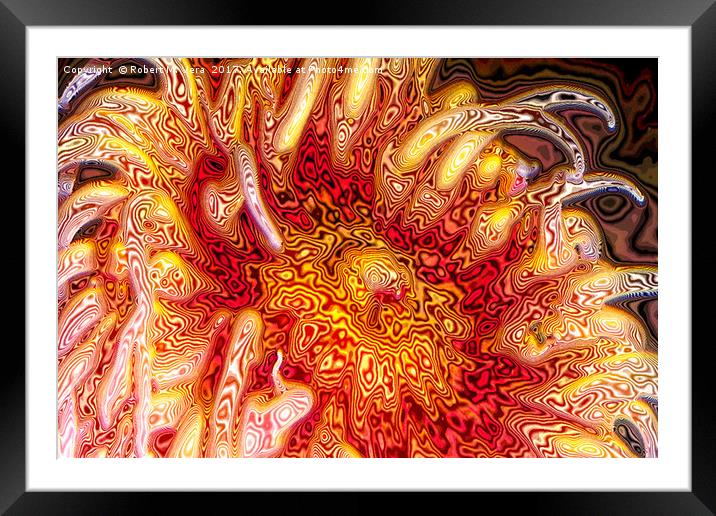 Sea Anemone Abstract Framed Mounted Print by Robert M. Vera
