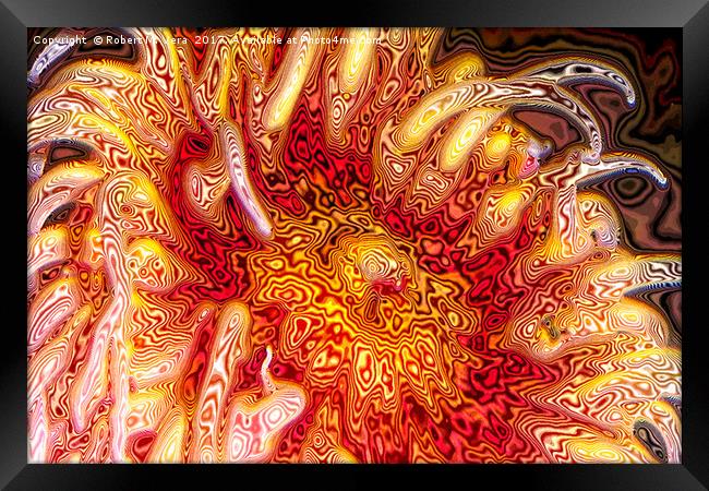 Sea Anemone Abstract Framed Print by Robert M. Vera