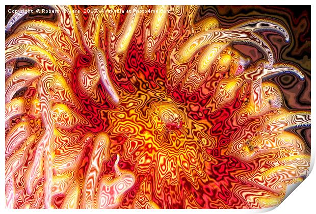Sea Anemone Abstract Print by Robert M. Vera