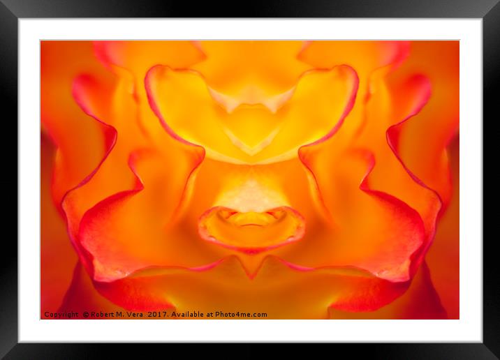 Orange and Yellow Rose Composite Framed Mounted Print by Robert M. Vera