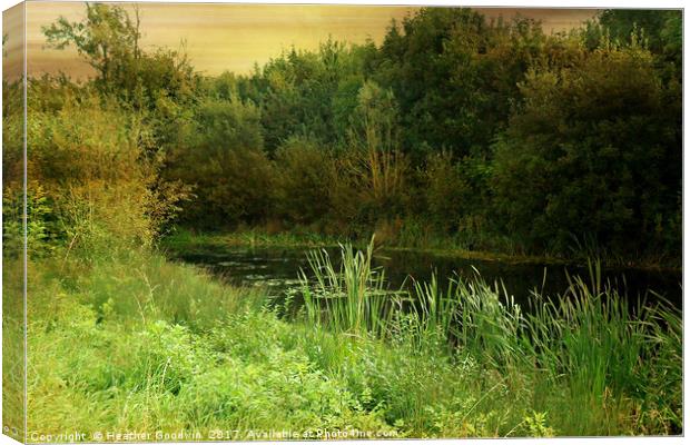 Still Waters Canvas Print by Heather Goodwin
