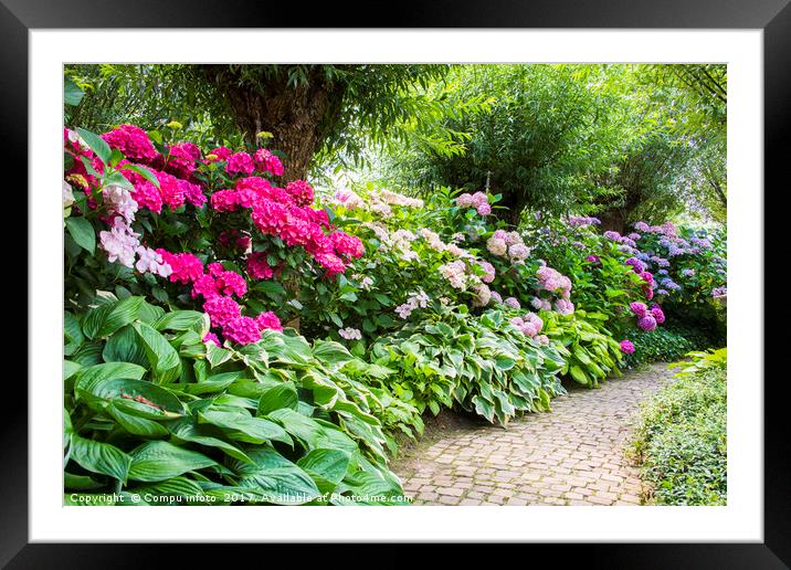 rhododendrons in english garden Framed Mounted Print by Chris Willemsen