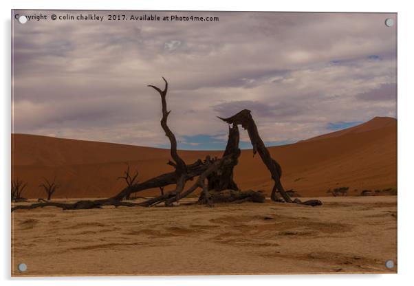 Salt and Clay Pan at Deadvlie, Namibia Acrylic by colin chalkley
