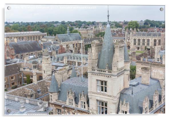 Cambridge Rooftops Acrylic by Graham Custance