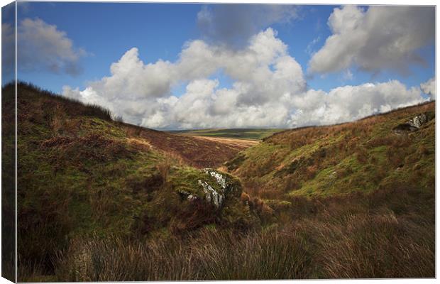 Rugged Exmoor Canvas Print by Mike Gorton