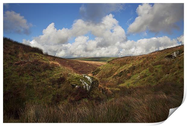 Rugged Exmoor Print by Mike Gorton