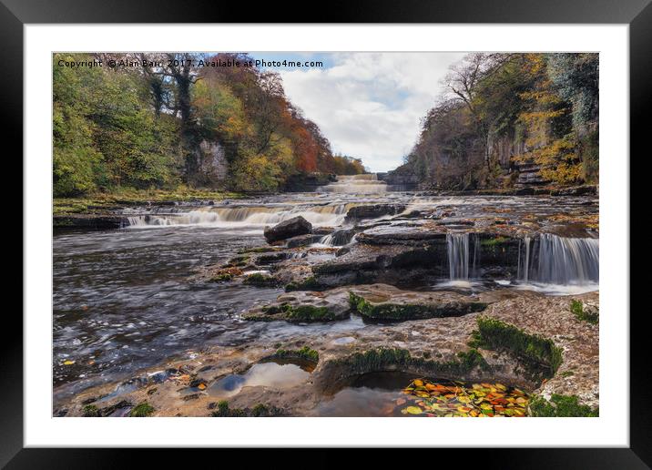 Lower Aysgarth Falls in the Yorkshire Dales  Framed Mounted Print by Alan Barr