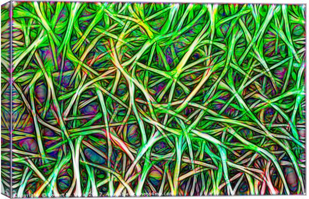 Abstract Image of Grass Canvas Print by Robert M. Vera