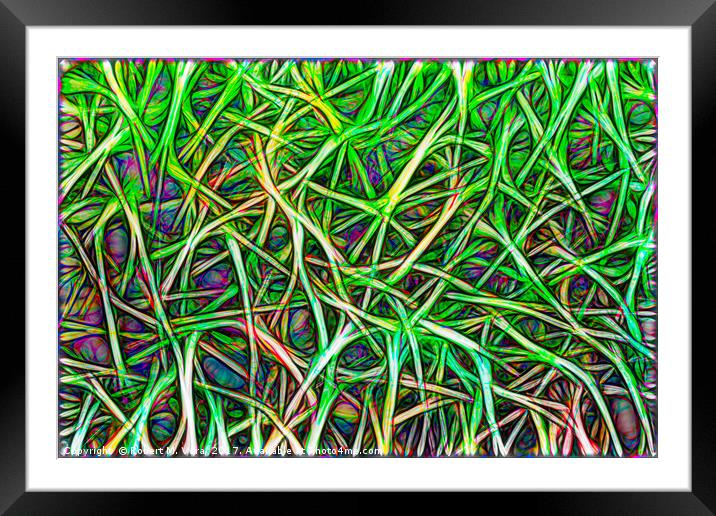 Abstract Image of Grass Framed Mounted Print by Robert M. Vera