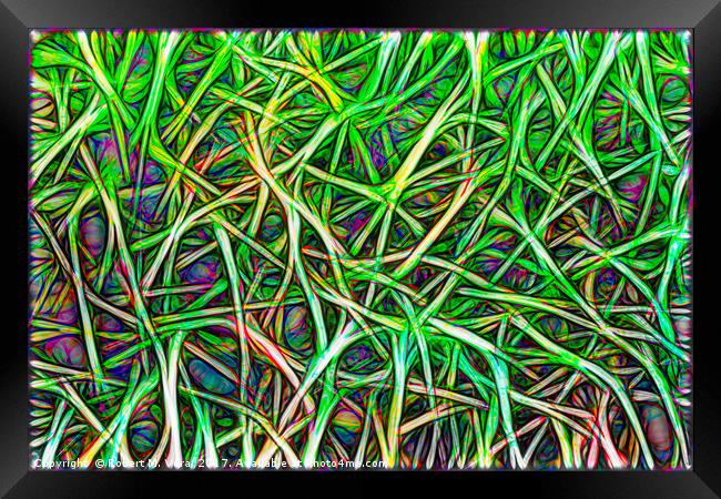 Abstract Image of Grass Framed Print by Robert M. Vera