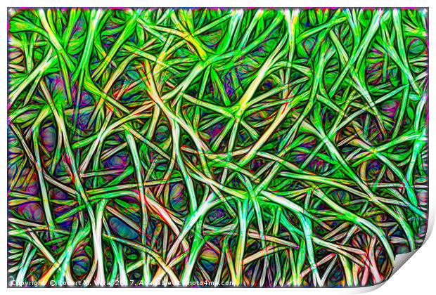 Abstract Image of Grass Print by Robert M. Vera