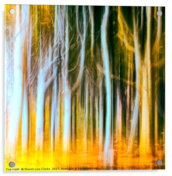 Woodland fall Acrylic by Sharon Lisa Clarke