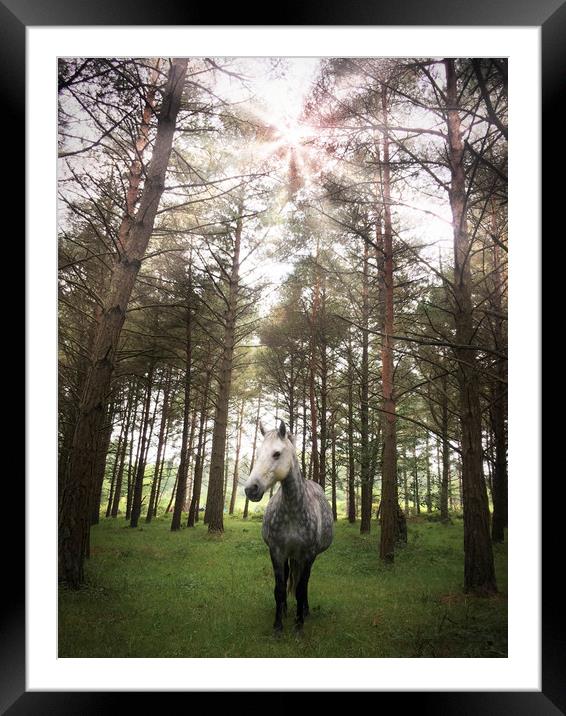 Spirit Horse Framed Mounted Print by George Cairns