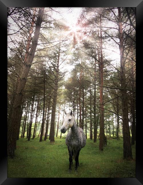 Spirit Horse Framed Print by George Cairns