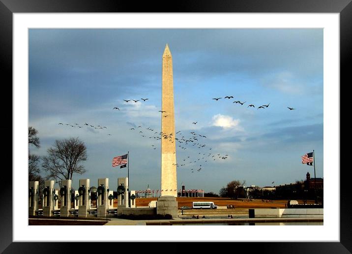 Washington Monument Framed Mounted Print by Mike Lanning