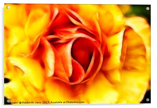 Orange and Yellow Rose Acrylic by Robert M. Vera