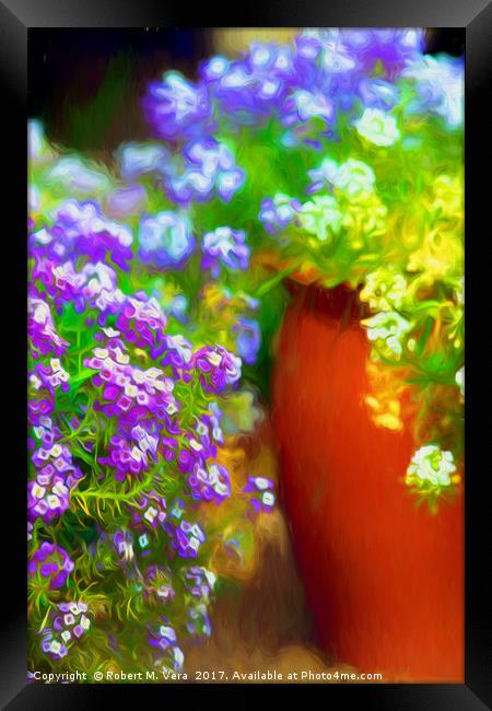 Alyssum in the Garden Framed Print by Robert M. Vera