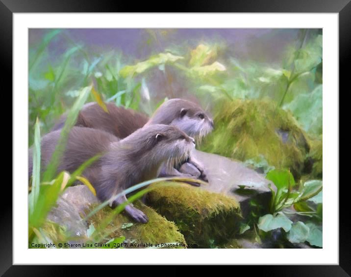 Otter duo Framed Mounted Print by Sharon Lisa Clarke