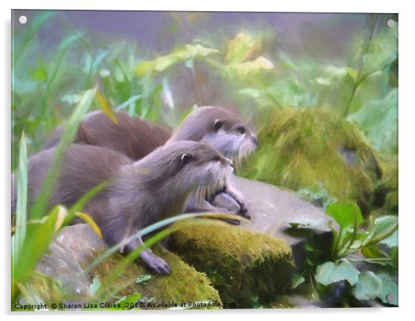 Otter duo Acrylic by Sharon Lisa Clarke