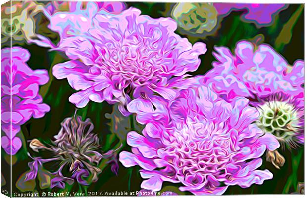 Pink Scabiosa also known as Pincushion Canvas Print by Robert M. Vera