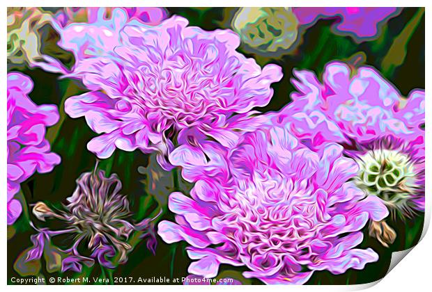 Pink Scabiosa also known as Pincushion Print by Robert M. Vera