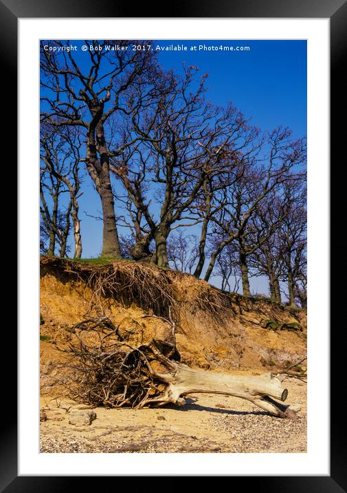 Erosion on Mersey Island, Essex Framed Mounted Print by Bob Walker