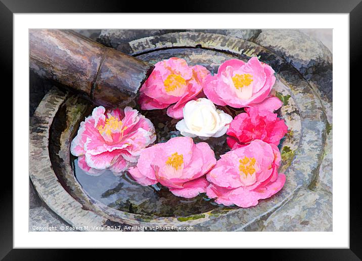 Camellia flowers in Japanese fountain Framed Mounted Print by Robert M. Vera