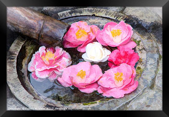 Camellia flowers in Japanese fountain Framed Print by Robert M. Vera