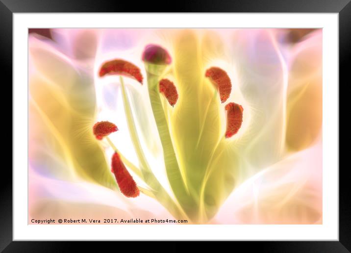 Digitally Enhanced White Lily Flower Framed Mounted Print by Robert M. Vera