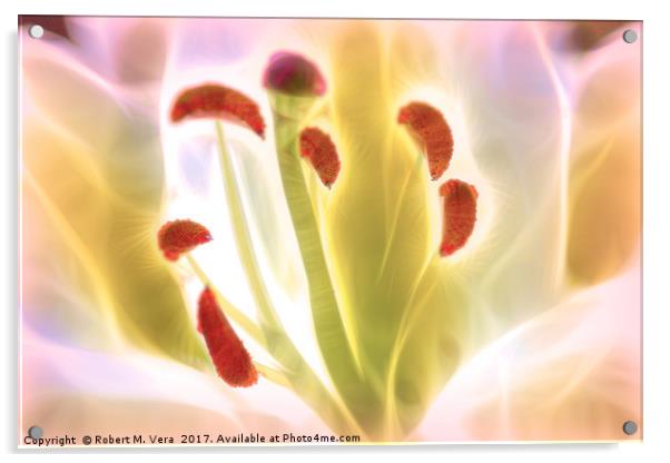 Digitally Enhanced White Lily Flower Acrylic by Robert M. Vera
