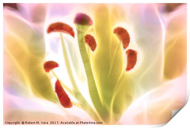 Digitally Enhanced White Lily Flower Print by Robert M. Vera