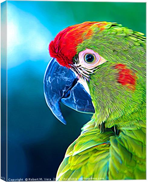Red-fronted Macaw Canvas Print by Robert M. Vera