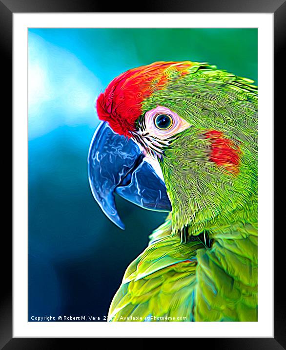 Red-fronted Macaw Framed Mounted Print by Robert M. Vera