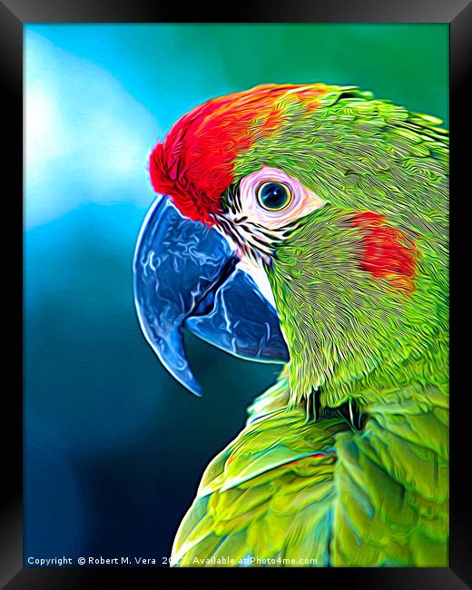 Red-fronted Macaw Framed Print by Robert M. Vera