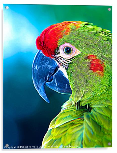 Red-fronted Macaw Acrylic by Robert M. Vera