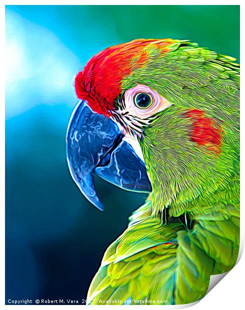 Red-fronted Macaw Print by Robert M. Vera